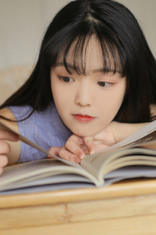 军检察官多伯曼犬