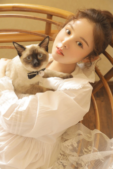 日韩av在线电影